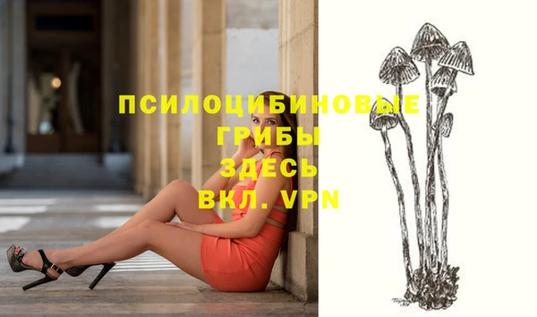 спайс Абдулино