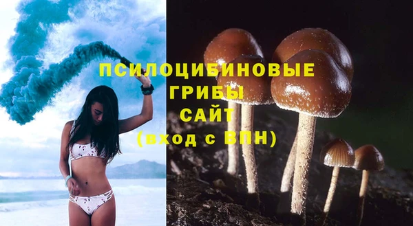 спайс Абдулино