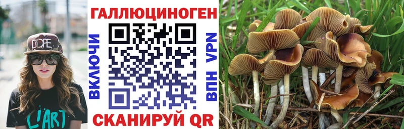 даркнет сайт  Сорочинск  Псилоцибиновые грибы мицелий 