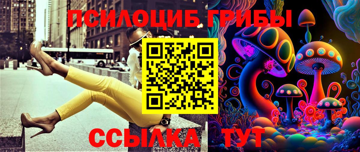 Галлюциногенные грибы мицелий Сорочинск