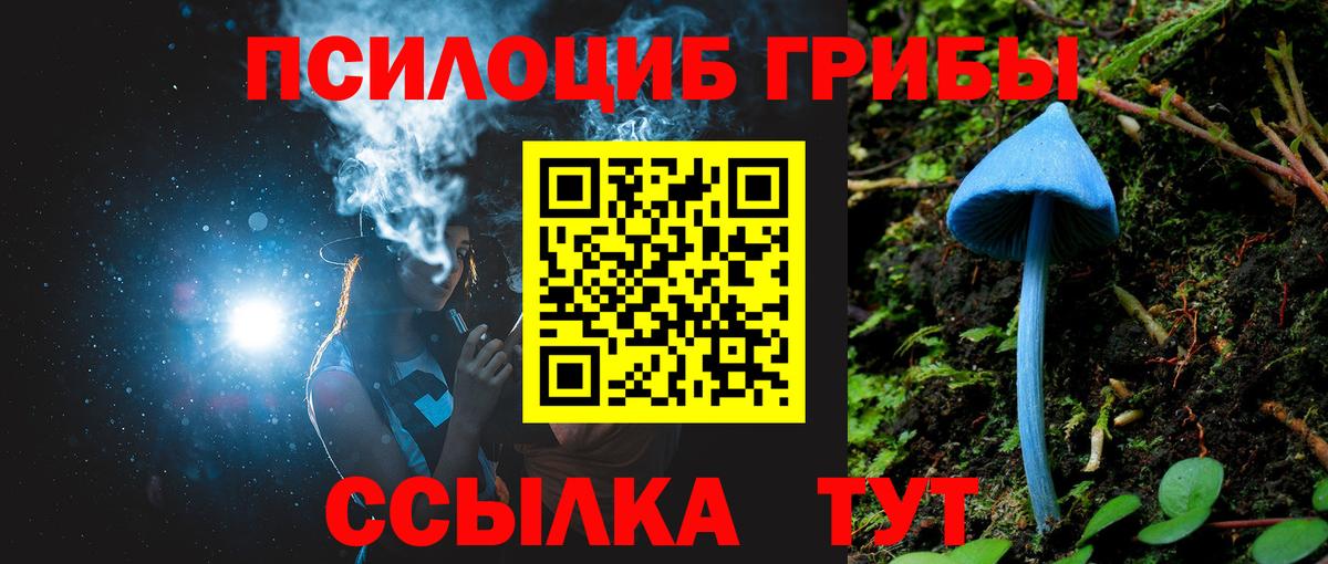 Галлюциногенные грибы Psilocybe  Вход с VPN  цена   Сорочинск 